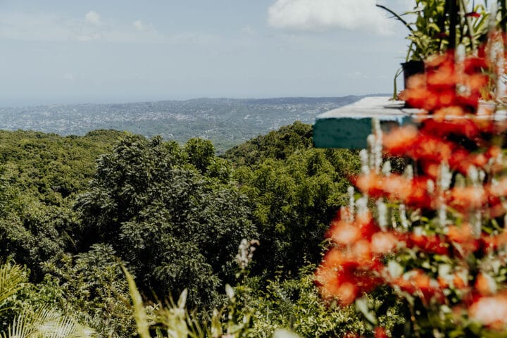 Ahhh… Ras Natango Gallery and Garden Jamaika