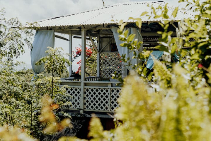 Ahhh… Ras Natango Gallery and Garden Jamaika