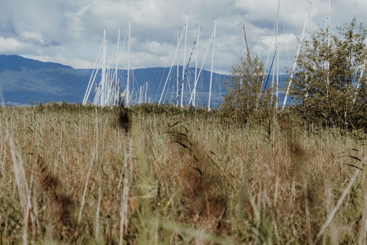 Der Strand von Gletterens
