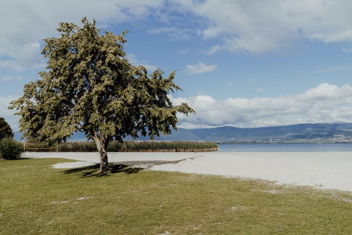 Der Strand von Portalban