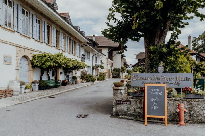 Das Weingut Le Domaine Derron in Motier