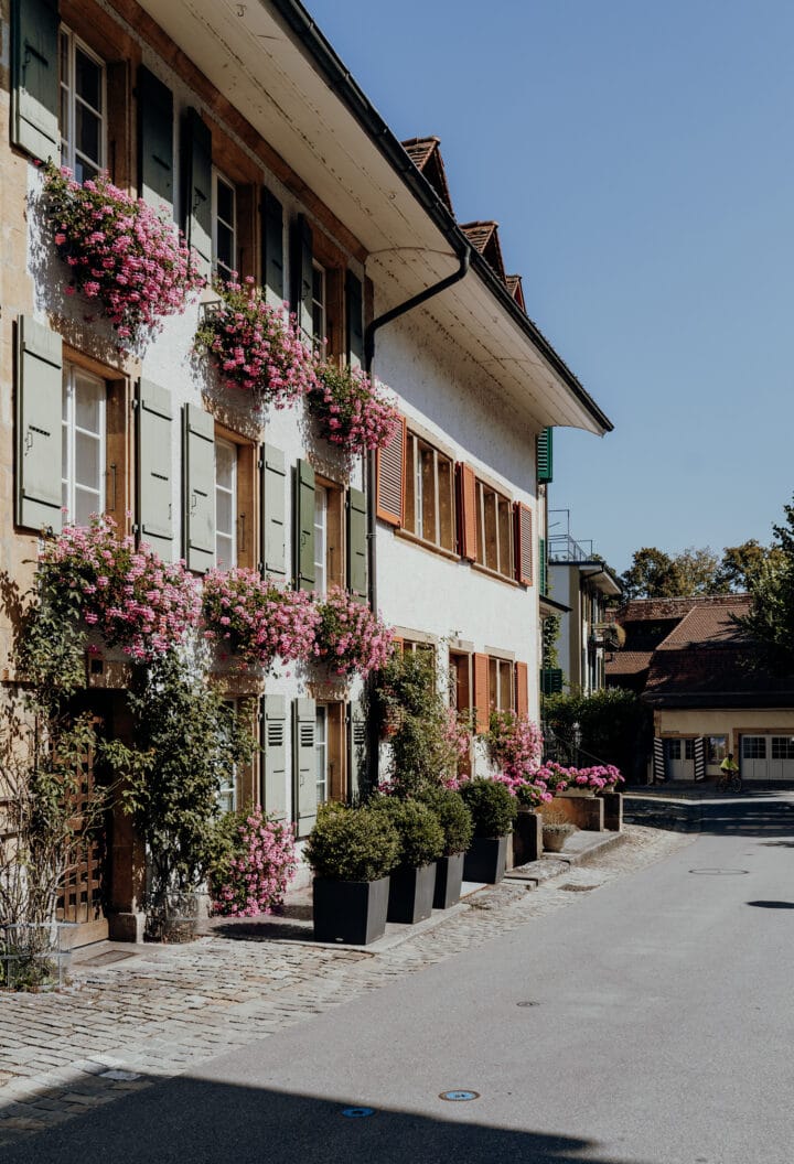 Die Altstadt von Murten