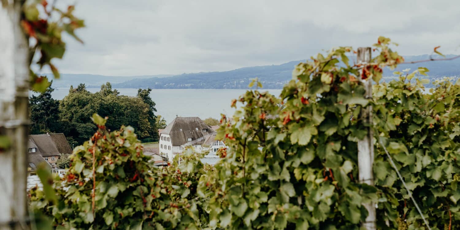 Herbstgenuss am Bodensee – Genießen mit allen Sinnen in der Vierländerregion