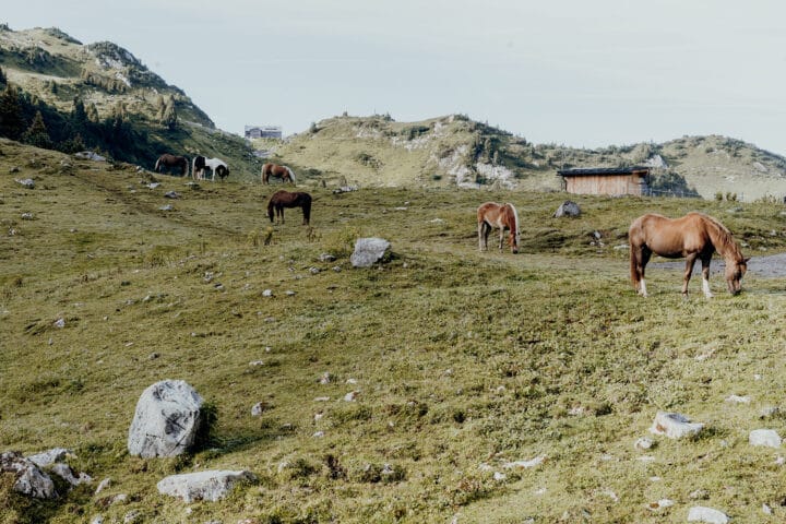 Der smaragdgrüne Formarinsee –  der schönste Platz Österreichs