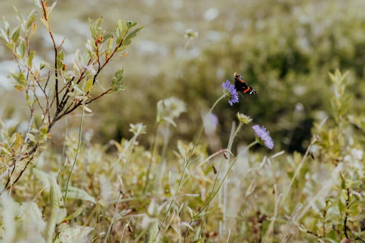 Der smaragdgrüne Formarinsee –  der schönste Platz Österreichs