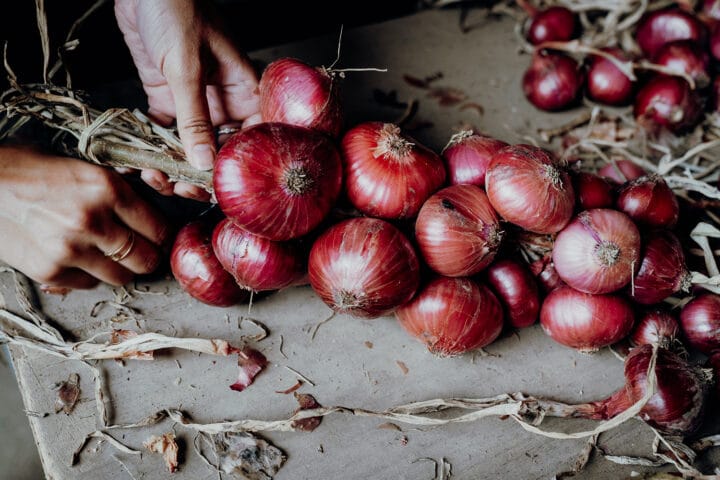 Von Radler-Tapas und Büllezöpfen – Eine Genussradtour auf der Halbinsel Höri