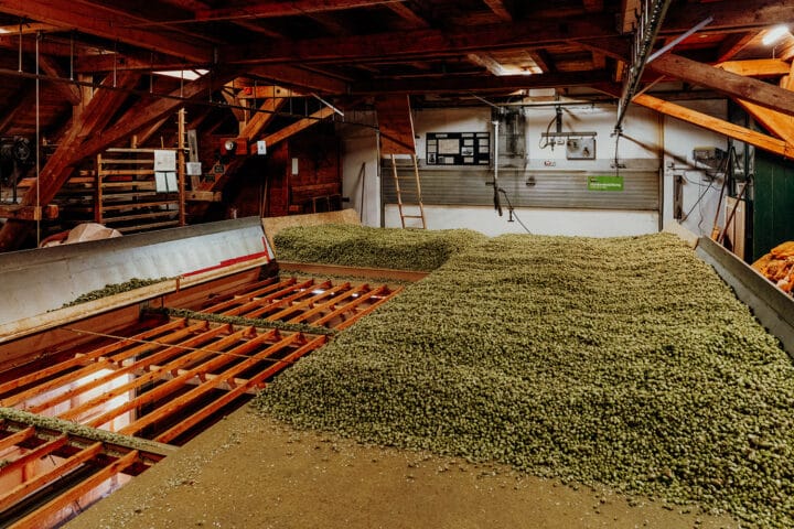 Hopfengut N°20 in Tettnang am Bodensee