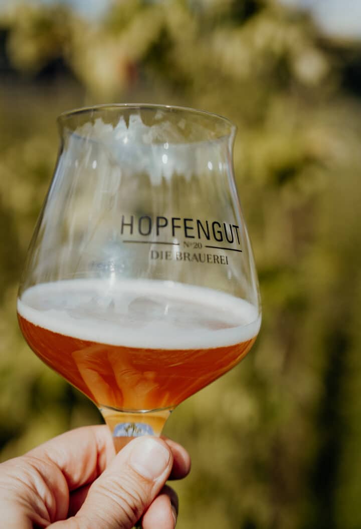 Hopfengut N°20 in Tettnang am Bodensee