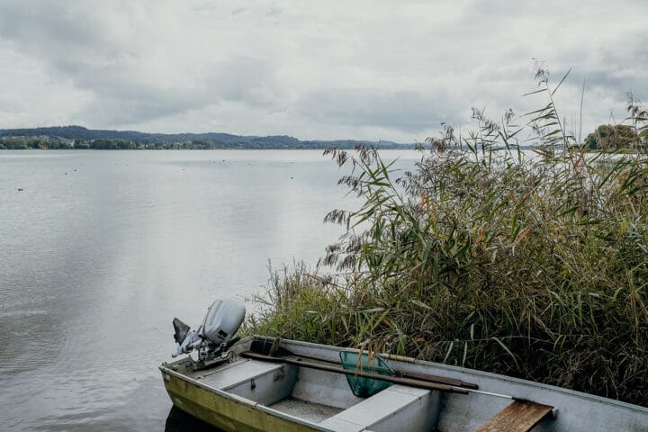 Gemüseinsel und UNESCO-Welterbe – Die Insel Reichenau