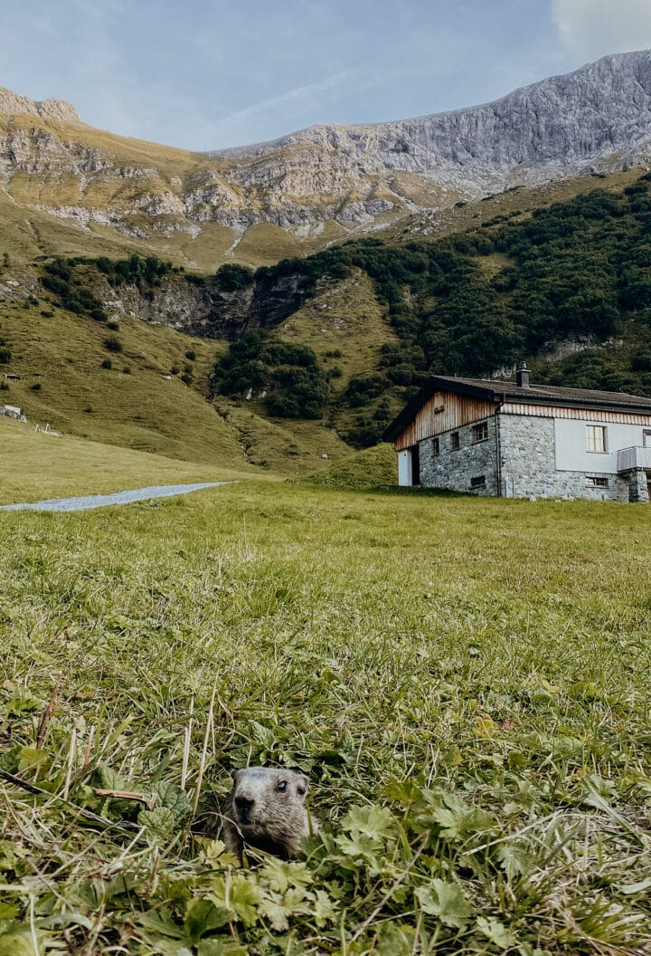 Der Schaukelpfad in Malbun