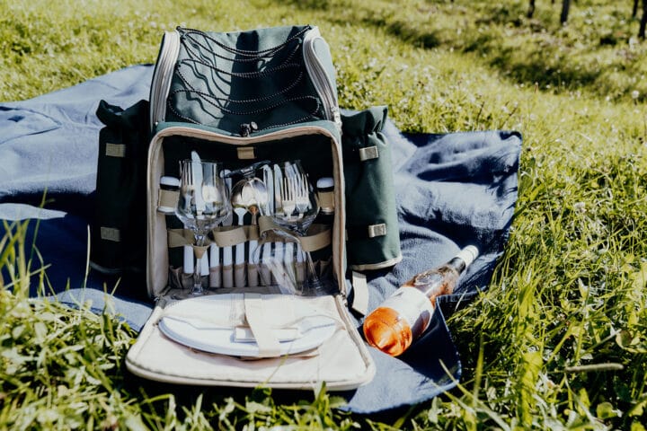 Unterwegs in den Weinbergen des Weingut Haug in Lindau am Bodensee