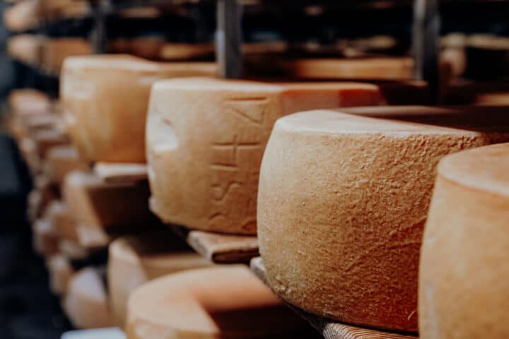 Alles Käse – bei Hilkater Biokäse in Bizau