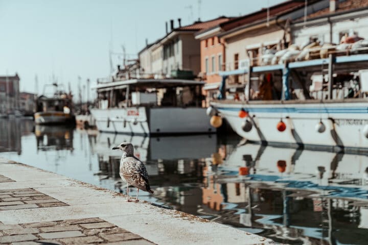 Cesenatico – Sehnsuchtsort an der Adriaküste