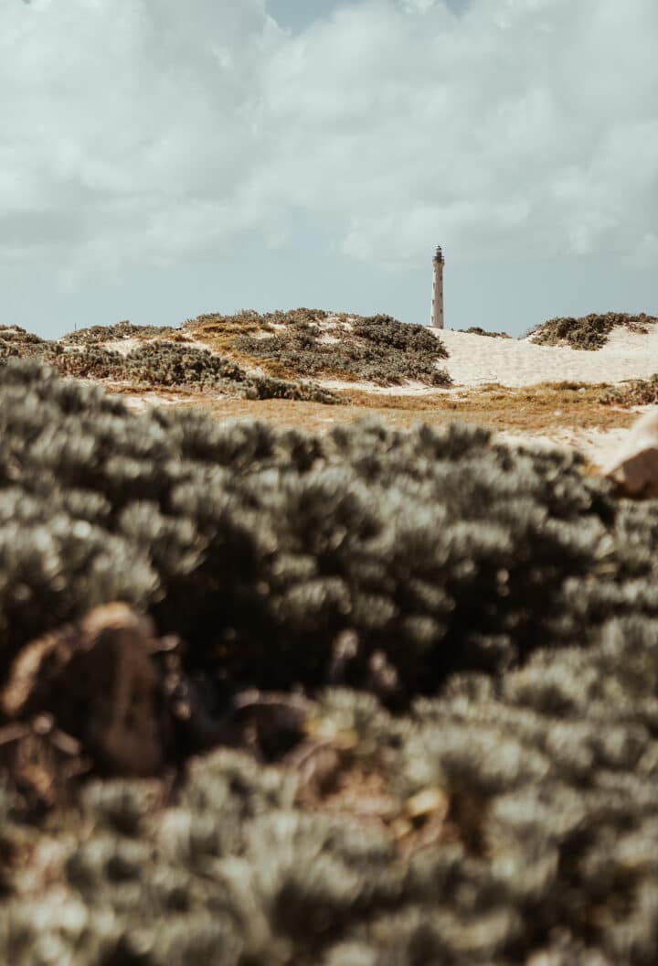 California Lighthouse Aruba