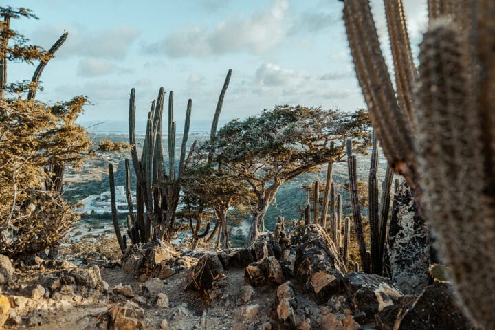 Hooiberg Aruba