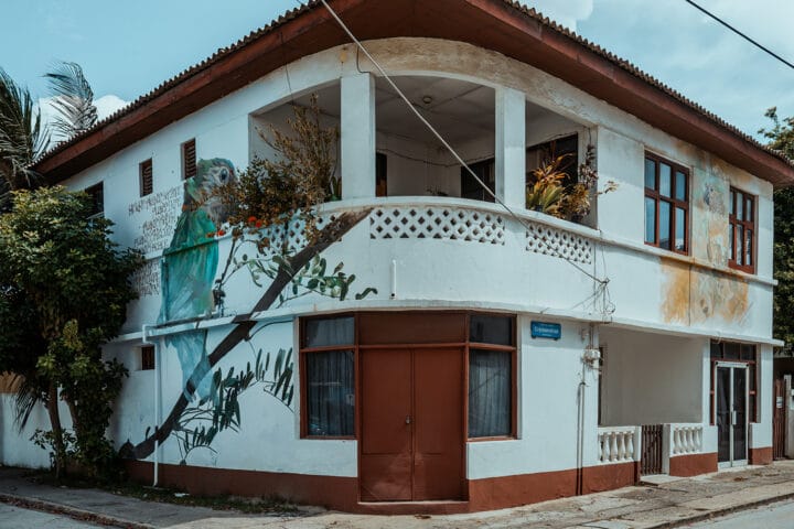 Street Art in San Nicolas Aruba