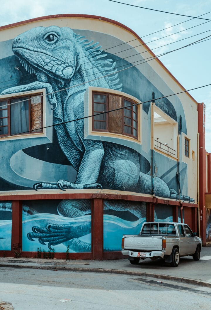 Street Art in San Nicolas Aruba