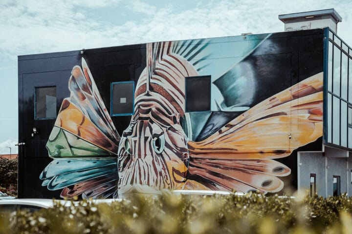 Street Art in San Nicolas Aruba