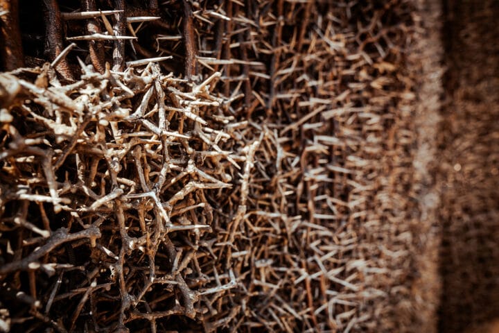 Cathedral of Thorns, Curacao