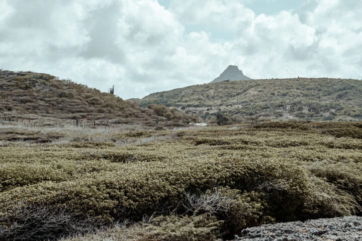 Shete Boka Nationalpark
