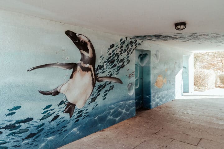 BETONLIEBE – Streetart Tour durch Langwasser - Nürnberg