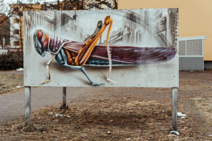 BETONLIEBE – Streetart Tour durch Langwasser - Nürnberg