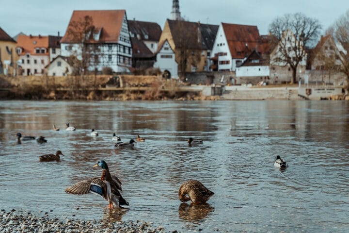 Lauingen an der Donau