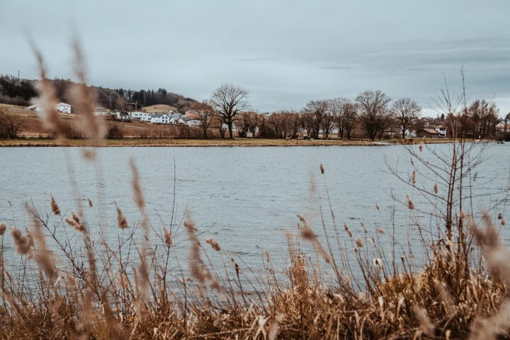 Wanderung im Naturpark Augsburg - Westliche Wälder