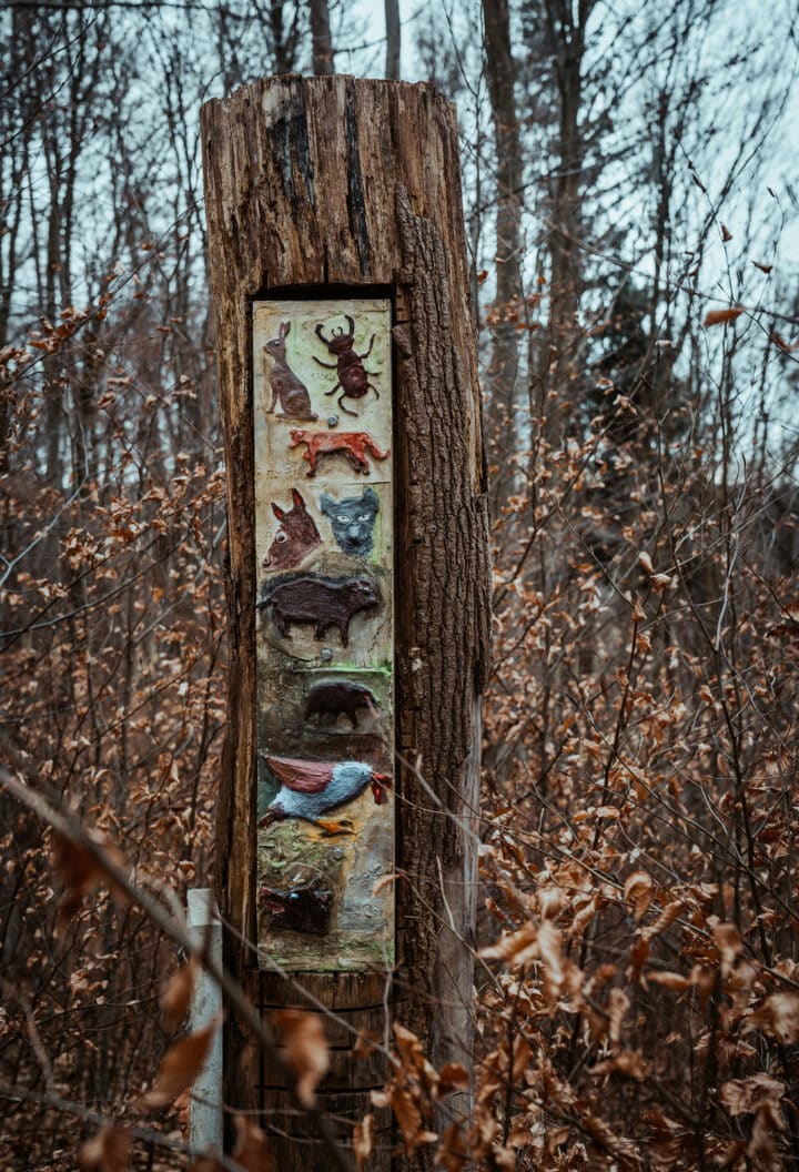 Wanderung im Naturpark Augsburg - Westliche Wälder