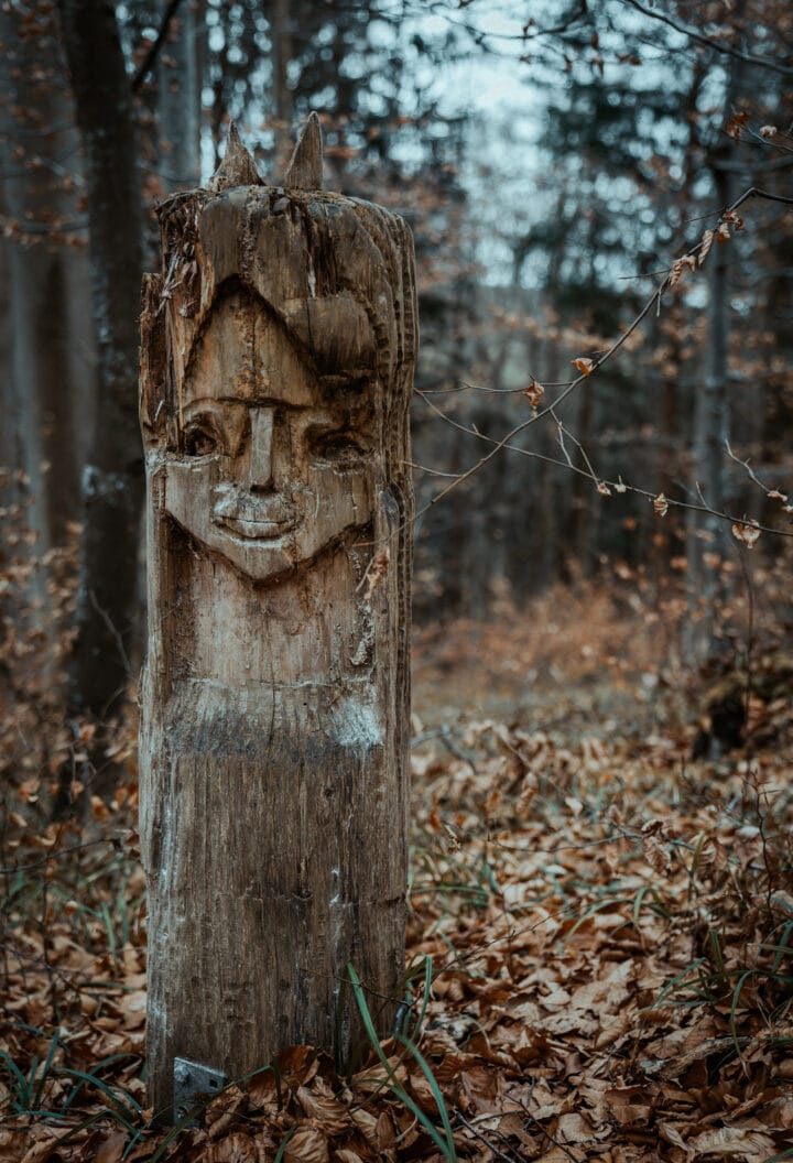 Wanderung im Naturpark Augsburg - Westliche Wälder