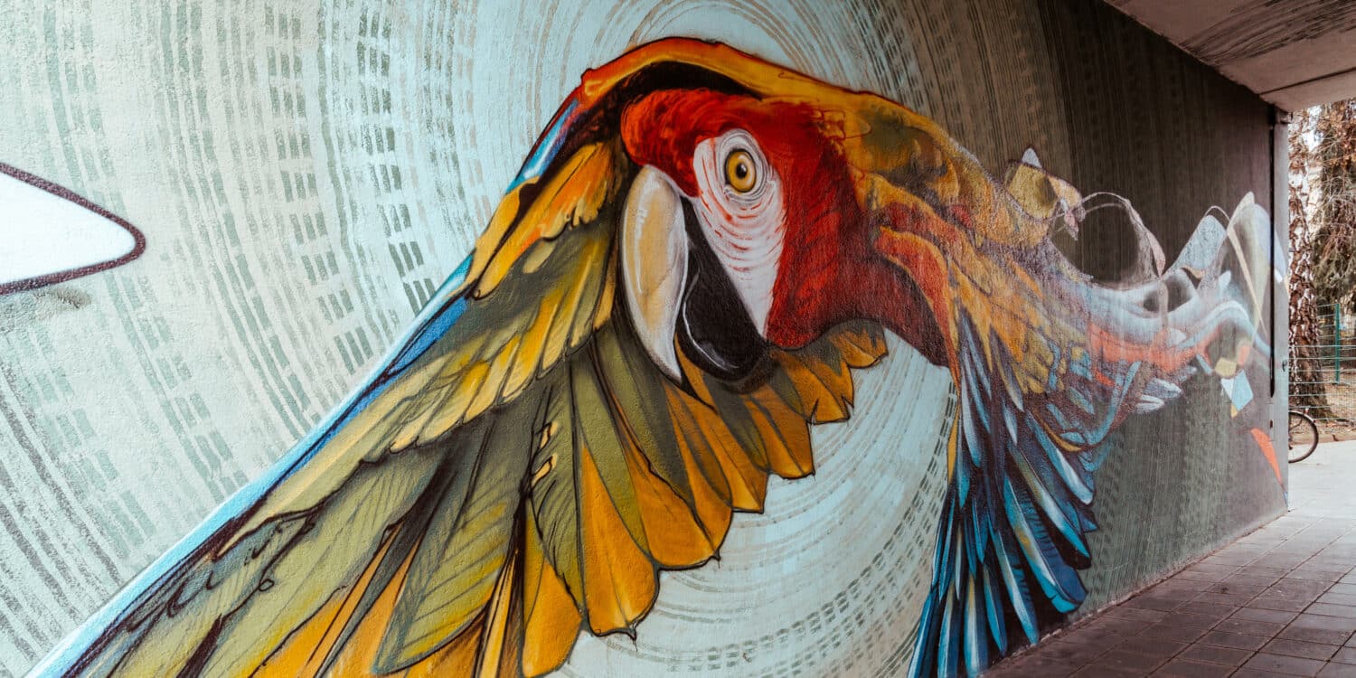 Tipps für die schönsten Graffiti und Streetart Hotspots in Nürnberg