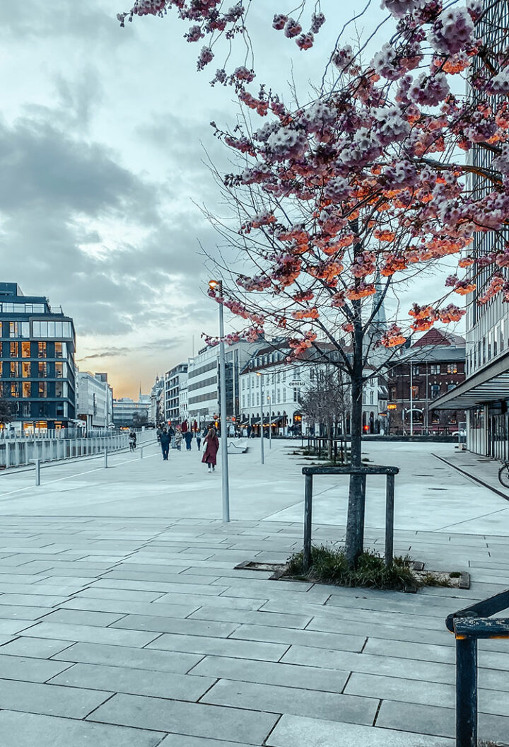 Die schönsten Sehenswürdigkeiten in Aarhus