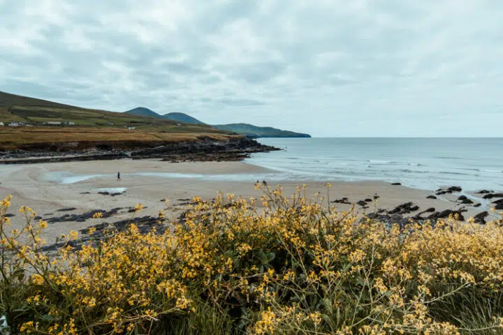 Reiseblog Irland– Alle Reiseberichte & Tipps