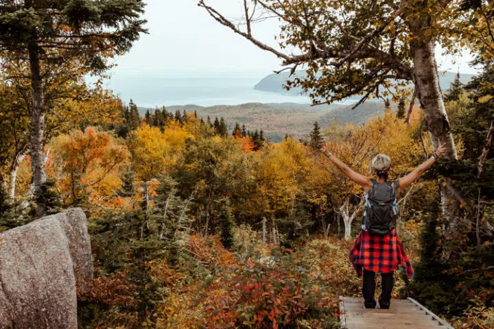 Reiseblog Kanada – Alle Reiseberichte & Tipps