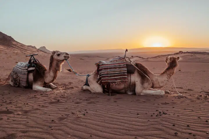 Reiseblog Marokko – Alle Reiseberichte & Tipps