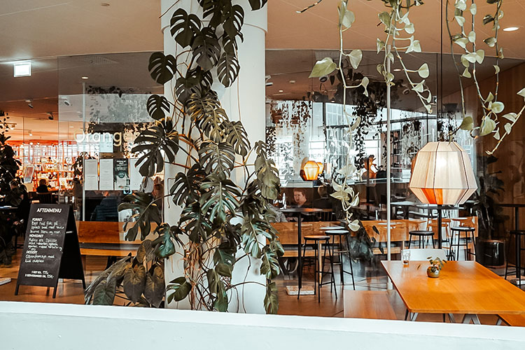 Restaurant und Café Orangeriet im ARoS Kunstmuseum