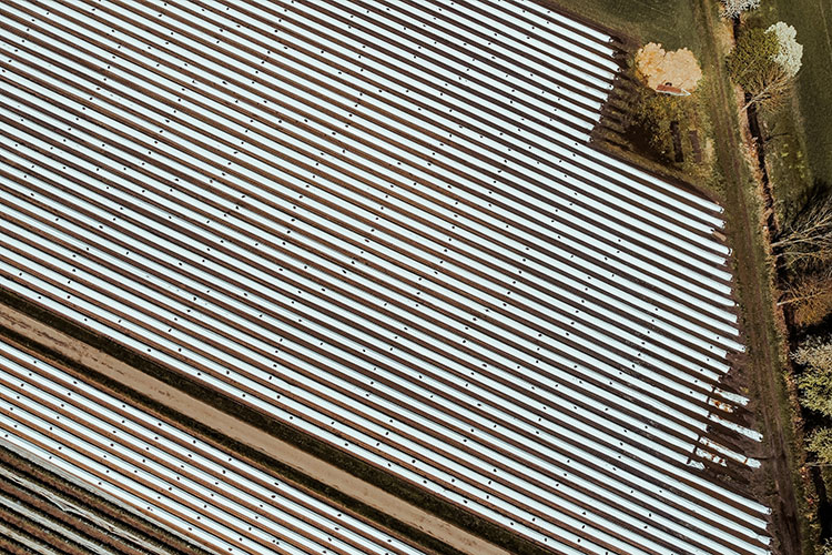 Spargelfelder rund um Lindach im Schweinfurter Land