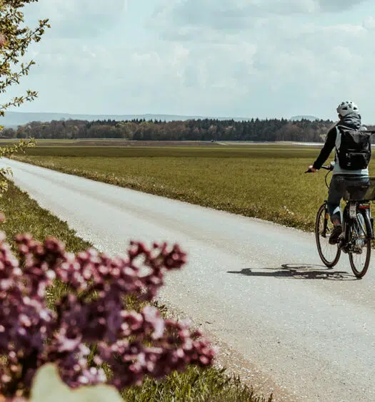 Radtour rund um Schweinfurt – Spargeltour auf den Spuren des mainfränkischen Spargels