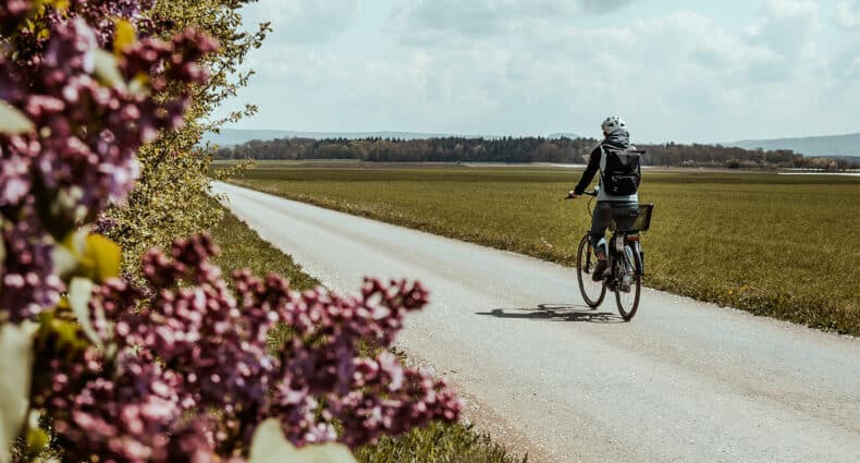 Radtour rund um Schweinfurt – Spargeltour auf den Spuren des mainfränkischen Spargels