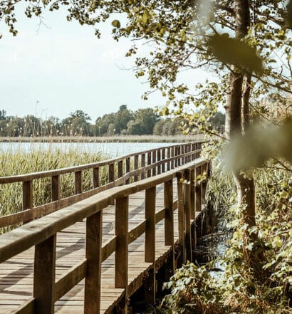 Der Fläming – Die TOP 7 Ausflugsziele in und rund um Beelitz 2022