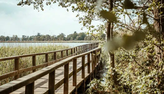 Der Fläming – Die TOP 7 Ausflugsziele in und rund um Beelitz