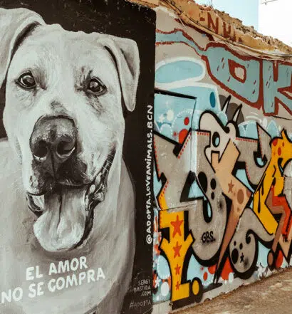 7 ultimative Geheimtipps für Barcelona und Umgebung