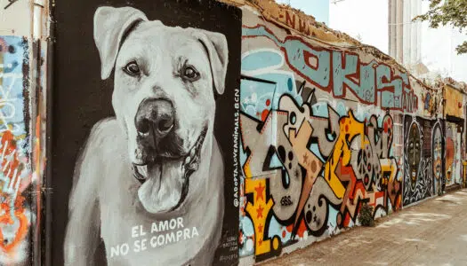 7 ultimative Geheimtipps für Barcelona und Umgebung