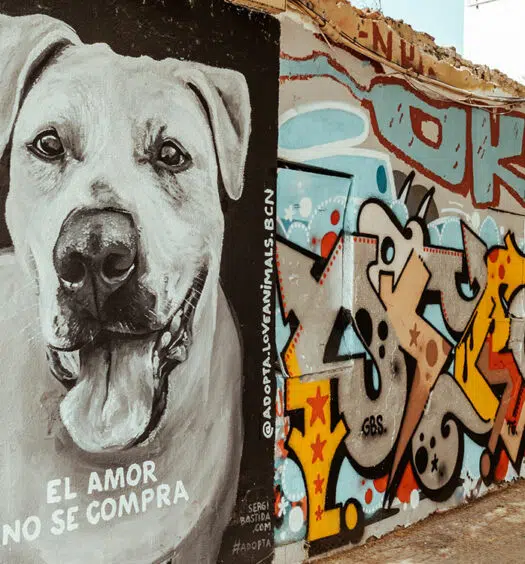 7 ultimative Geheimtipps für Barcelona und Umgebung