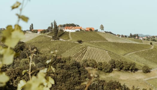 Südsteiermark – Meine Tipps für ein langes Wochenende in der « Toskana Österreichs »