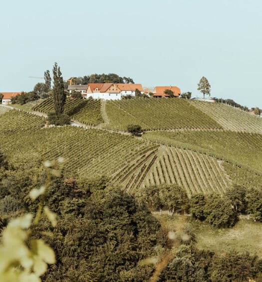 Südsteiermark – Meine Tipps für ein langes Wochenende in der « Toskana Österreichs »