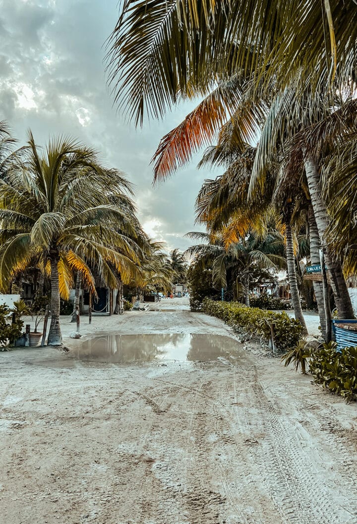 Die Schlammpisten auf der Isla Holbox, Quintana Roo, Yucatan, Mexiko.
