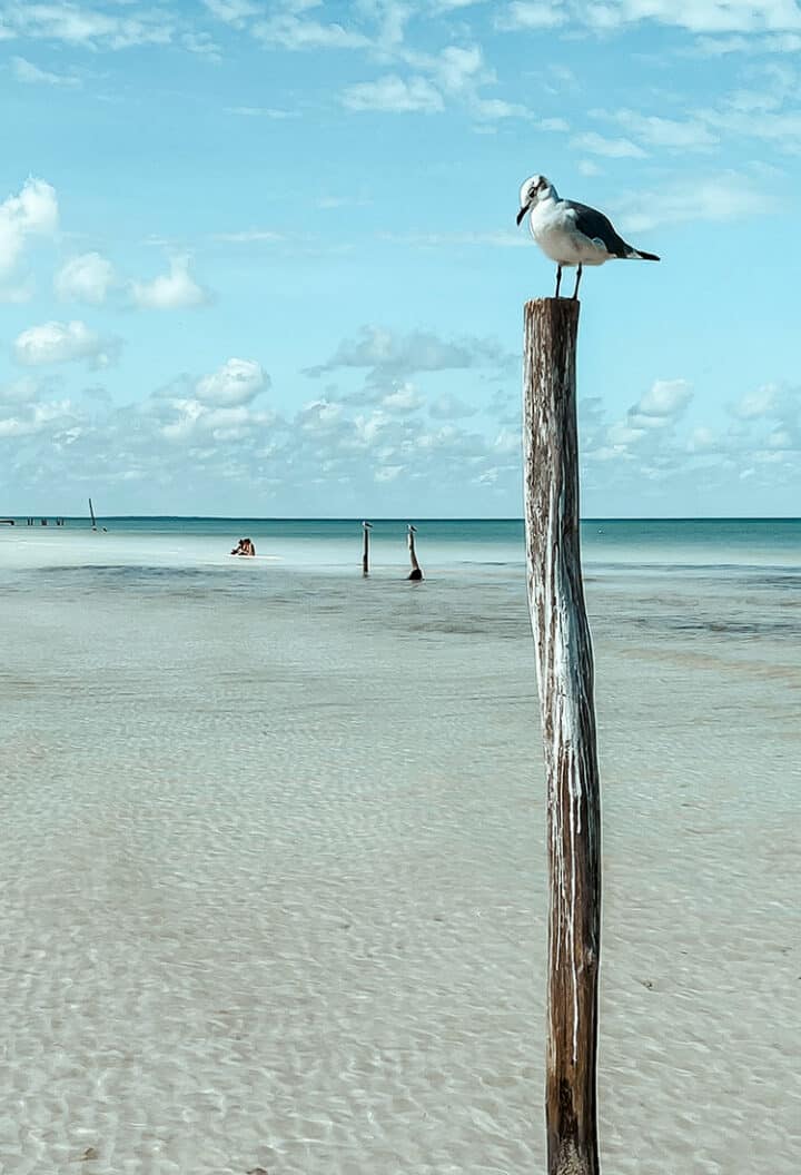 Die Trauminsel Holbox, Yucatan