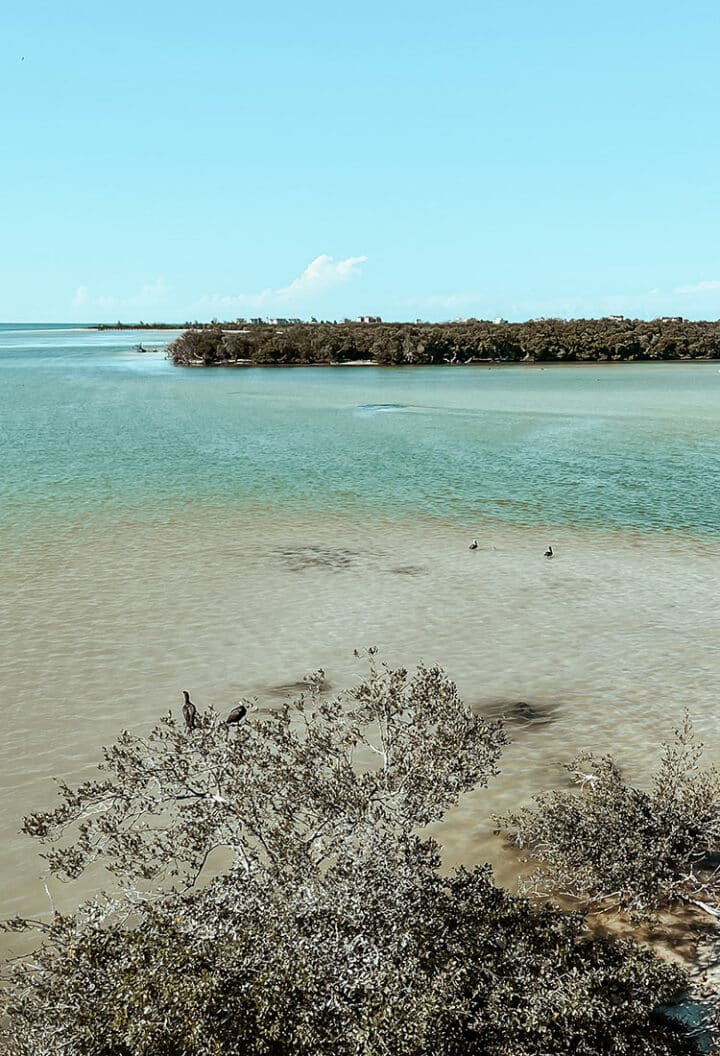 Tres Isla Tour Holbox