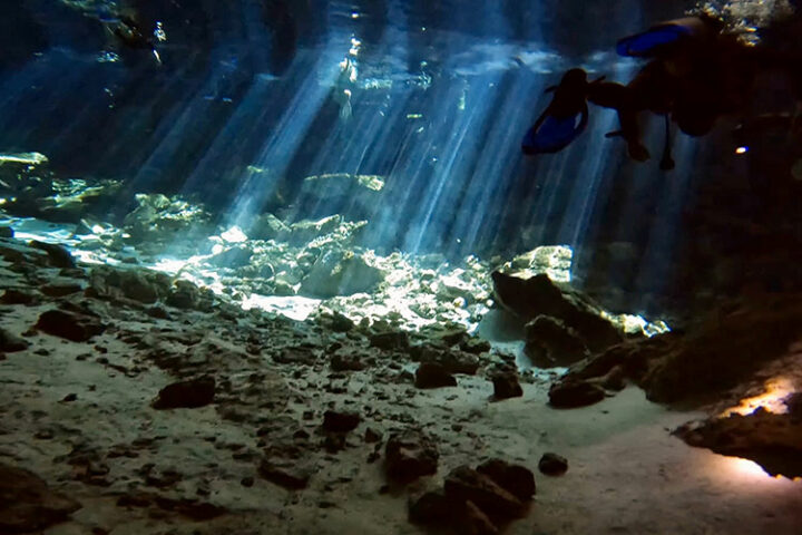 Tauchen im Sistema Dos Ojos, Tulum, Mexiko
